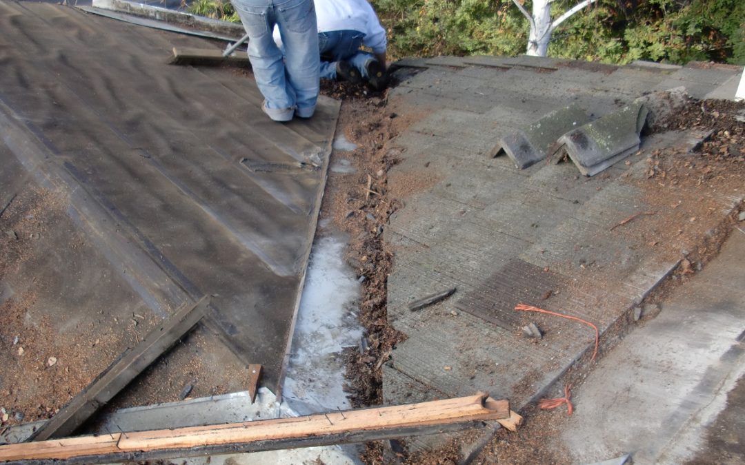 wll sawnee emc remove limbs from roof