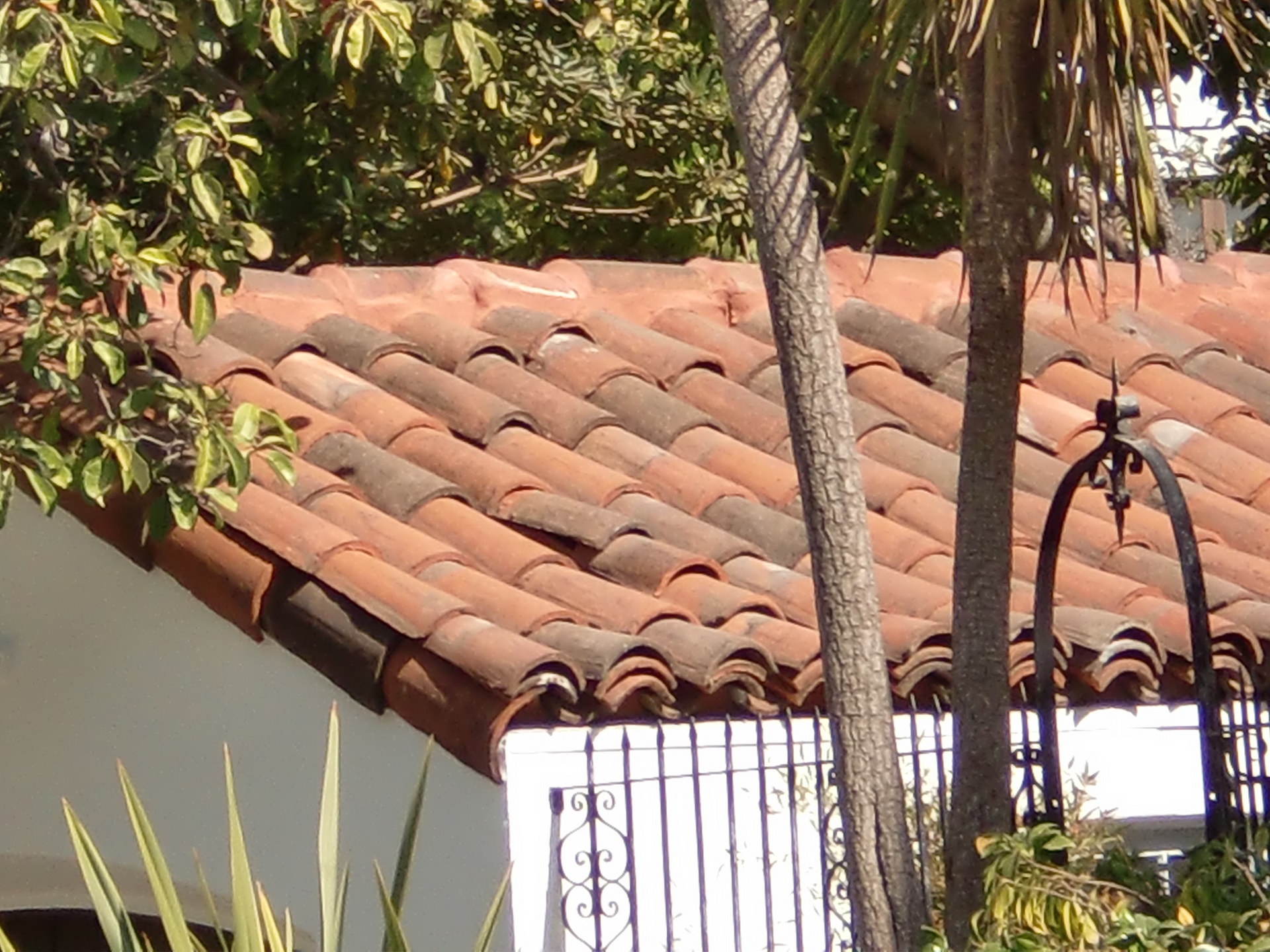 Tile Roofing Contractor Company in Hercules & Kensington, CA